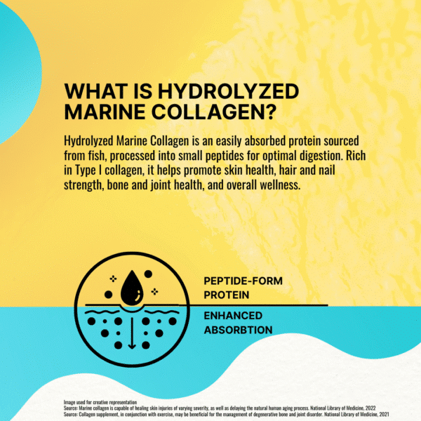 Jiri Nutrition Hydrolyzed Marine Collagen - Image 3
